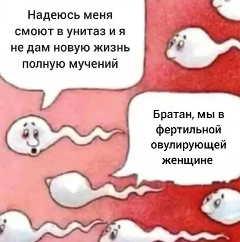 Сперматозоиды в жестокой гонке