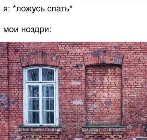 Мои ноздри не спят