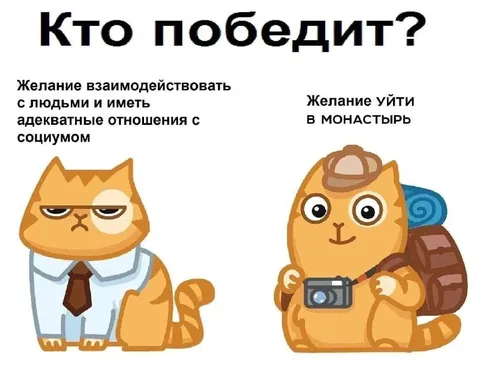 Кто победит: общение или монастырь