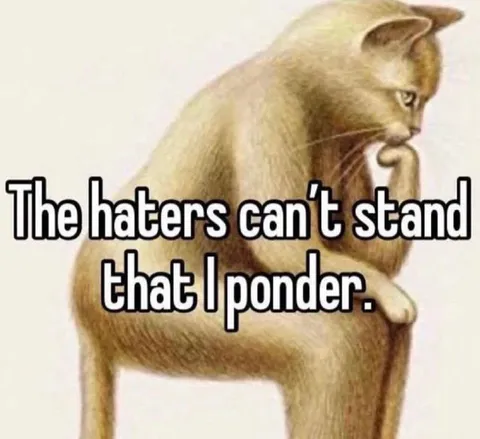 Pondering Cat Hates the Haters