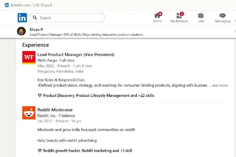 Reddit Moderator Vice President