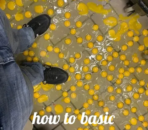 How to Basic Egg Disaster
