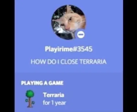 How Do I Close Terraria
