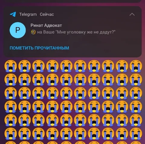 Мне уголовку же не дадут