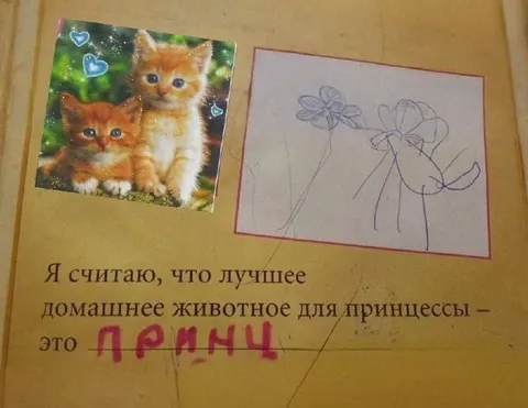 Лучшее домашнее животное для принцессы