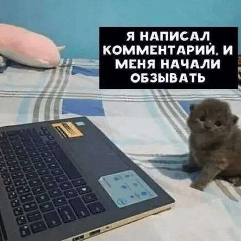 Котёнка обзывают за комментарий
