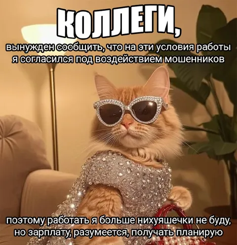 Кот отказался работать