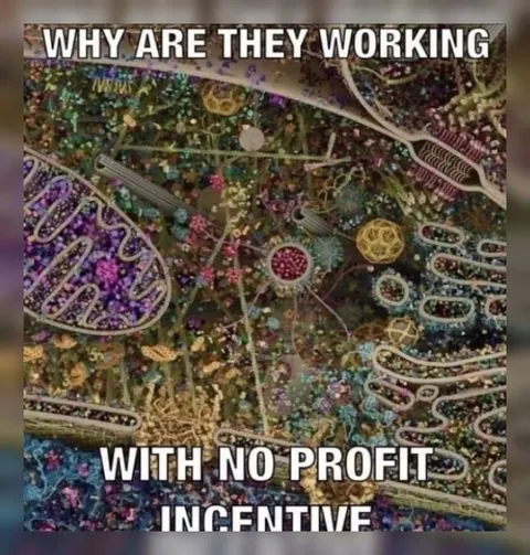 Cells Working Without Profit