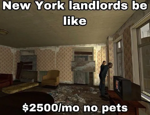 New York landlord apartment