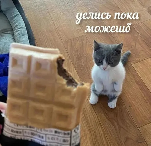 Делись пока можешь