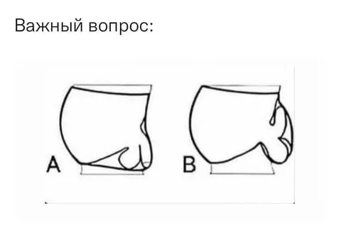 Важный вопрос: вариант A или B