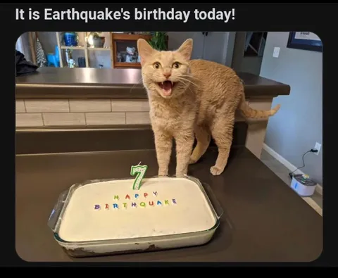 Earthquake Birthday Cat