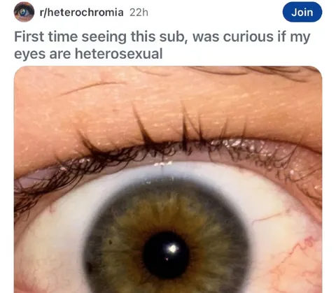 Heterosexual Eyes Joke