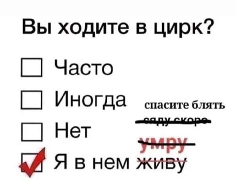 Я живу в цирке