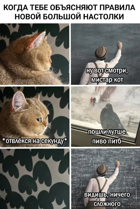 Кот отвлёкся от правил настолки