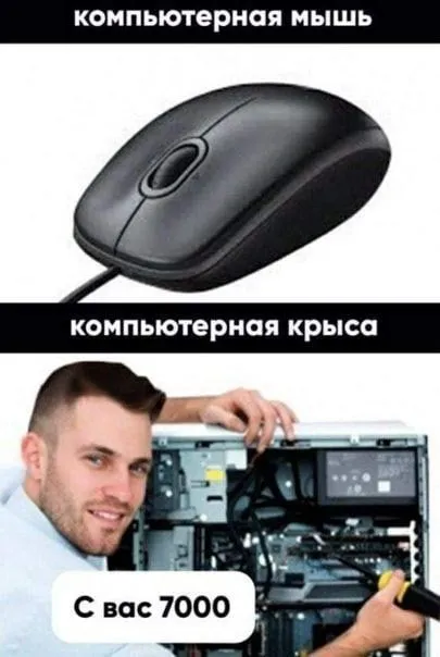 Компьютерная крыса за 7000