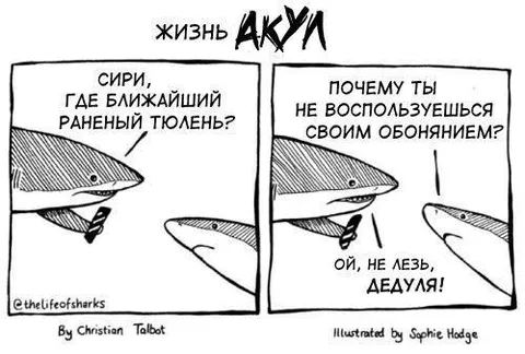 Жизнь акул и дедуля