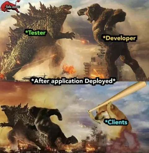Tester and Developer vs Clients