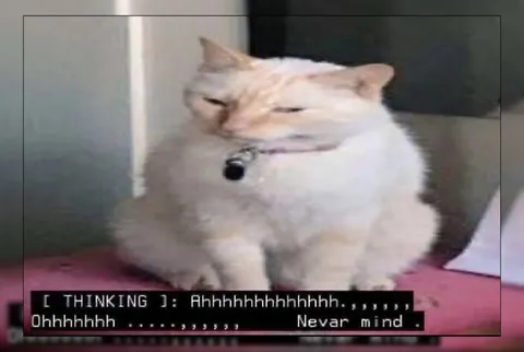 Never Mind Thinking Cat