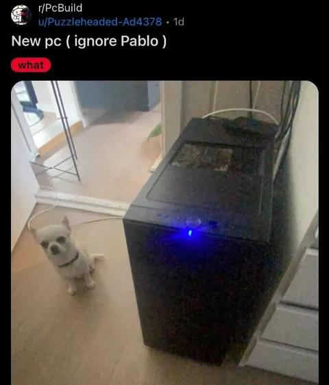 New PC Ignore Pablo