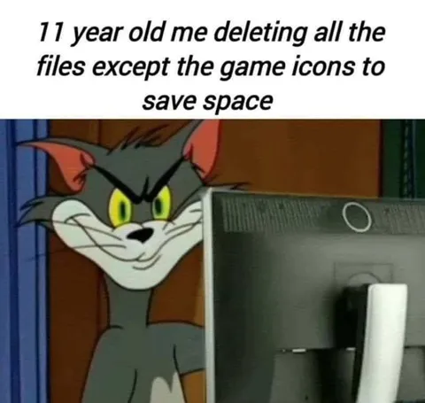 11-Year-Old Deletes Files to Save Space