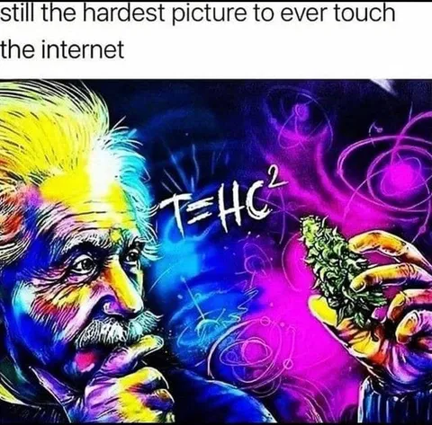 Einstein Touches the Internet