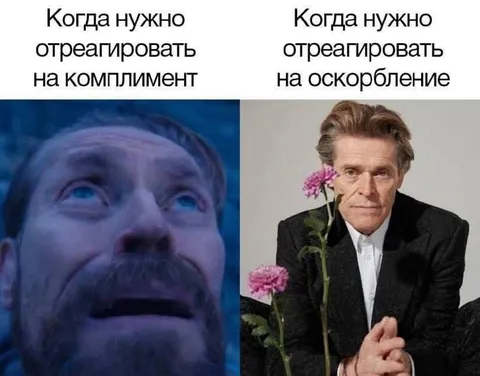 Реакция на комплимент и оскорбление