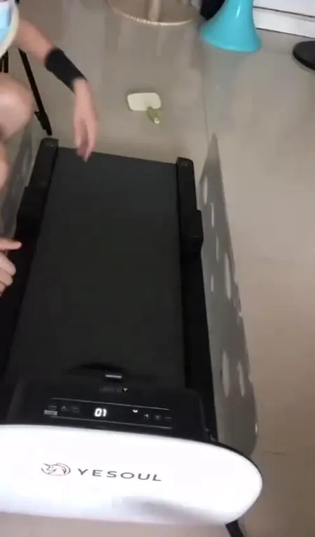 Кот на беговой дорожке
