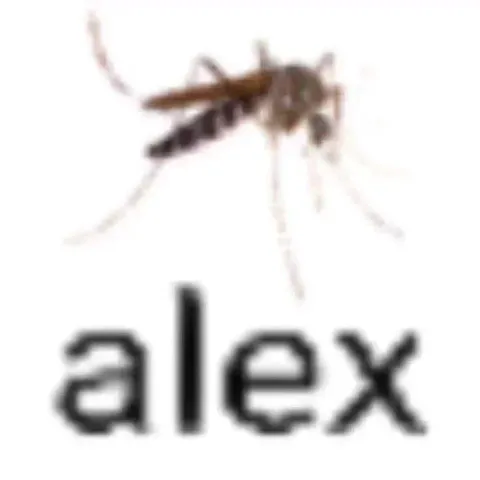 Alex the Mosquito