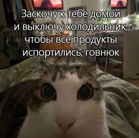 Выключу холодильник, говнюк