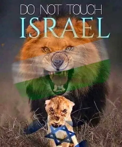 Do Not Touch Israel Lion