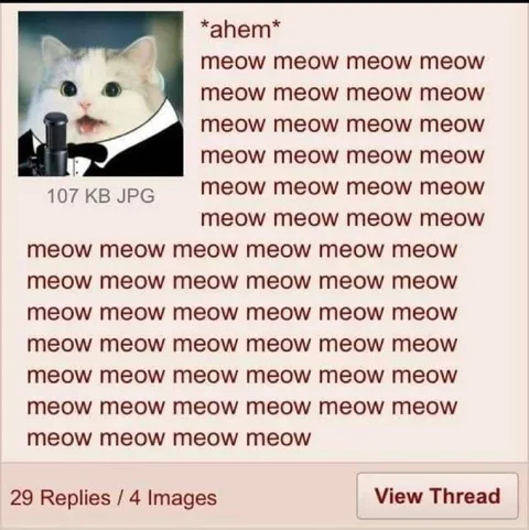 Cat Sings Meow Forever