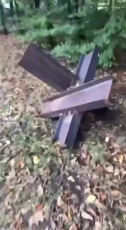 Jeżyk je kolczugę