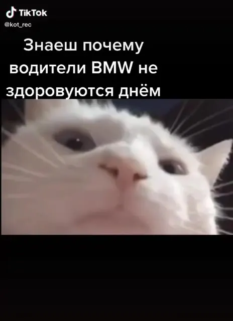 Почему водители BMW не здороваются