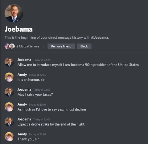 Joebama threatens Aunty with drone strike