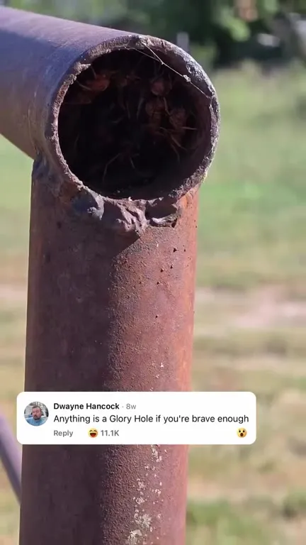 Glory Hole Ant Pipe Reveal