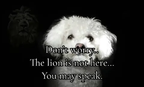 The Lion Is Not Here