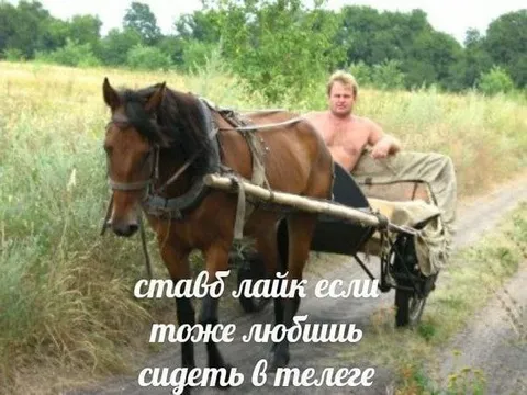 Сидеть в телеге и лайкать
