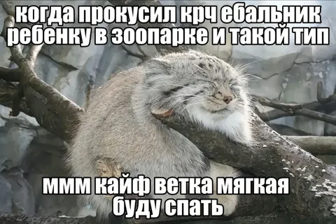 Выкусил ребёнку и кайфуешь