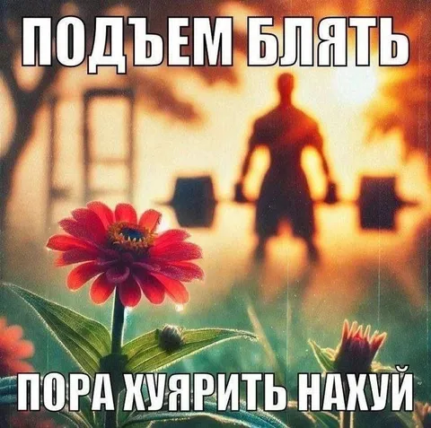 Подъём, пора хуярить нахуй