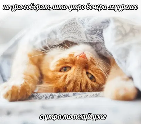 Утро вчера мудренее