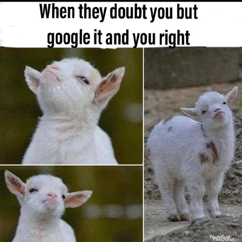 When Google Proves You Right