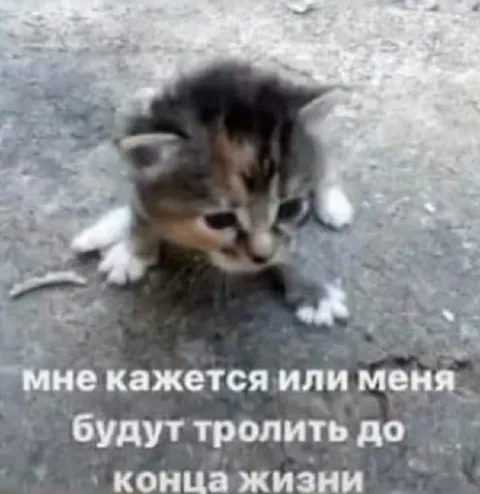 Меня будут троллить до конца жизни