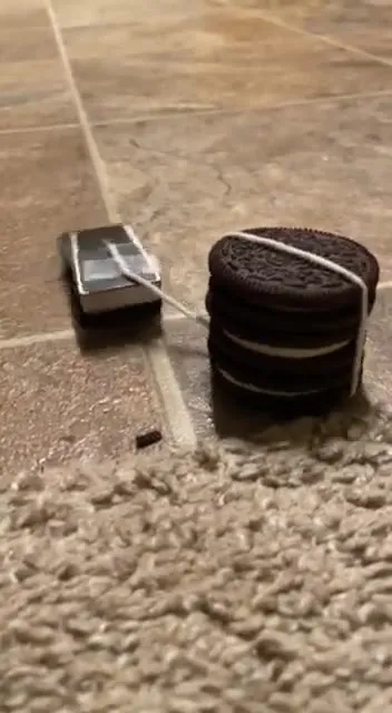 Машинка буксирует башню Oreo