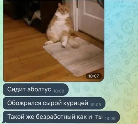 Безработный кот-аболтус