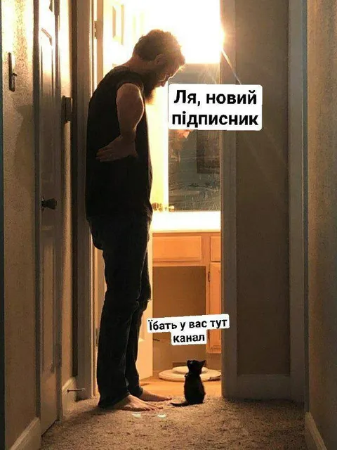 Новий підписник у каналі