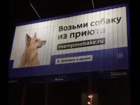 Возьми собаку, замиксуй с беконом