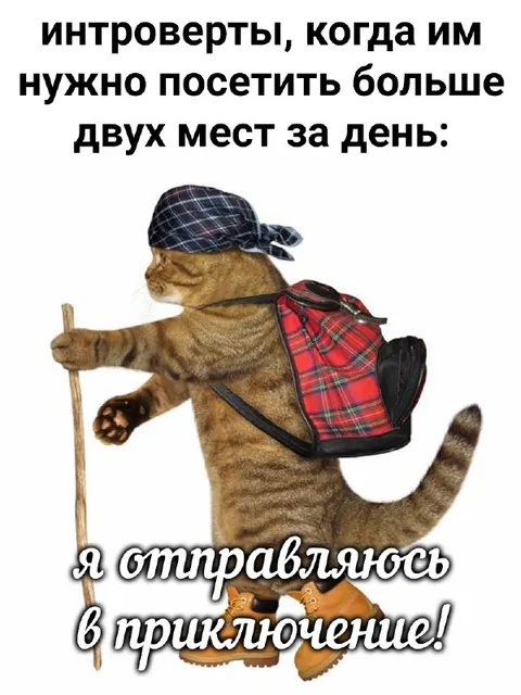 Интроверт отправляется в приключение