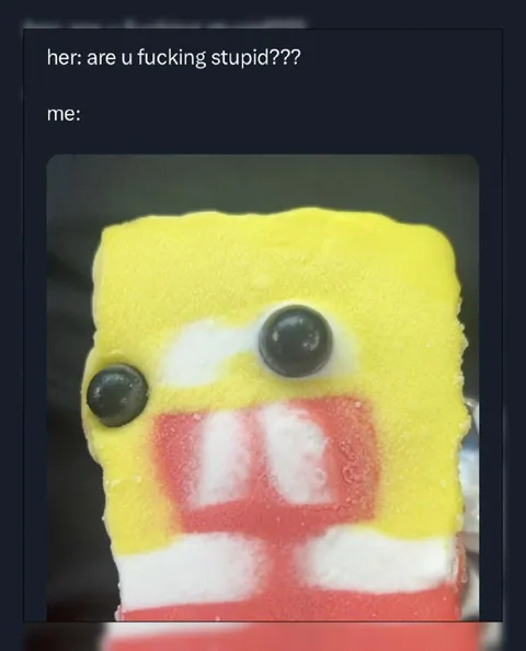 Are You Fucking Stupid Sponge