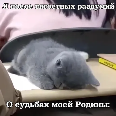 Кролик о судьбах Родины